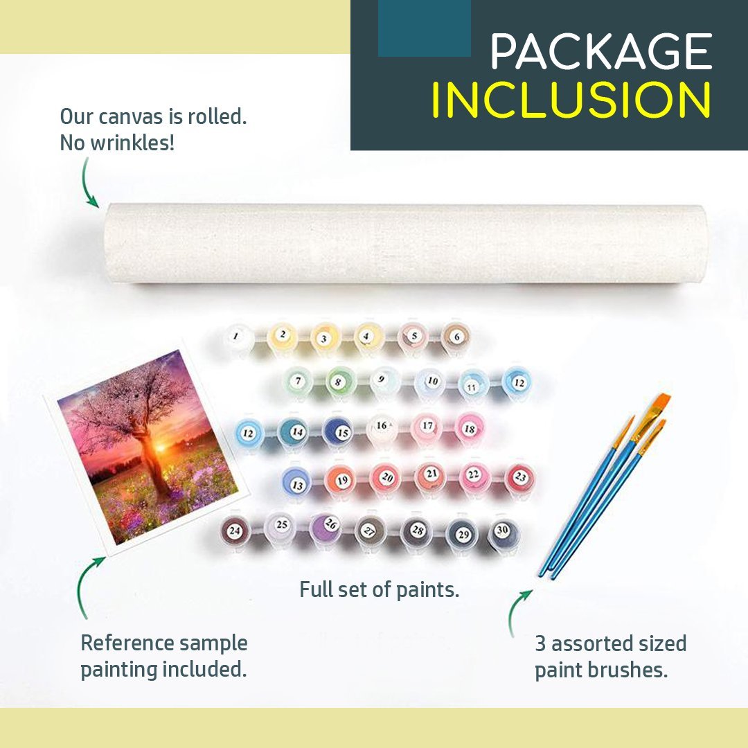 DIY Painting By Numbers Kit
