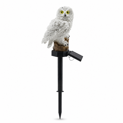 🦉 The Adorable Solar Owl That Lights Up Your Garden After Sunset