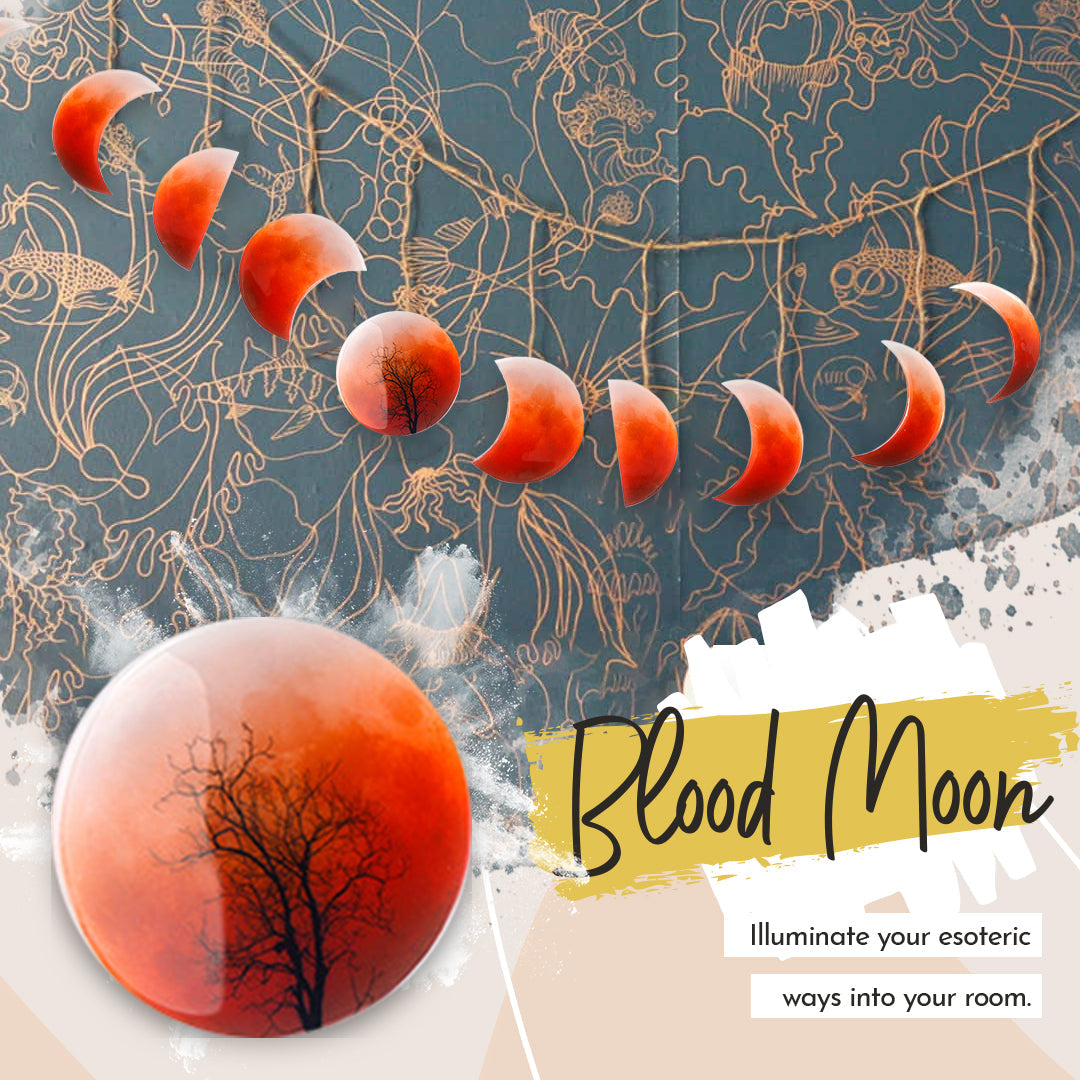 DIY Moon Phase Wall Hanging