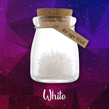 DIY Crystal Growing Kit