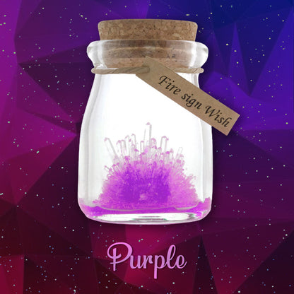 DIY Crystal Growing Kit