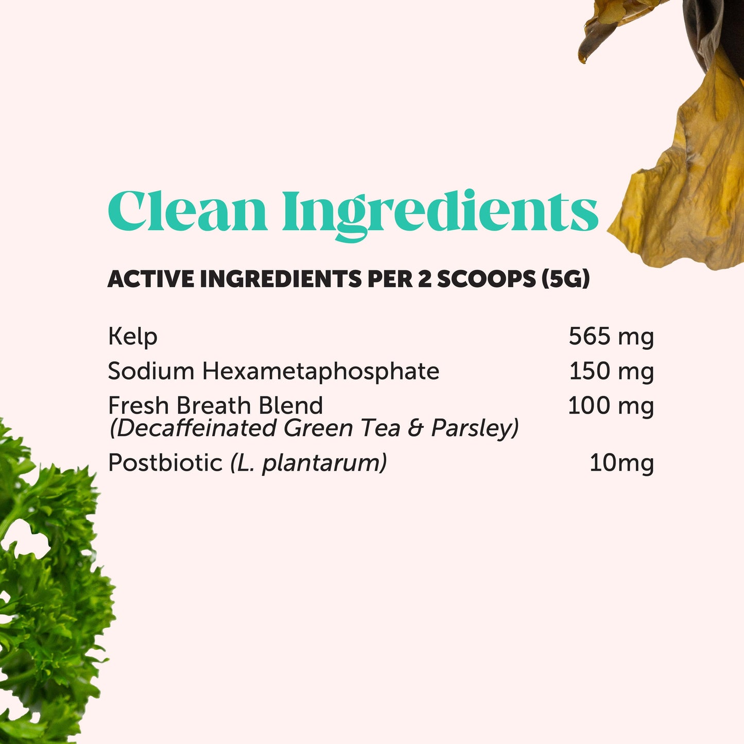 Fresh Breath Dental Powder for Dogs (30 servings)