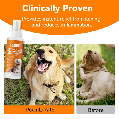 ODEIUN® Quantum Silver Pet Skin Spray for Dogs and Cats