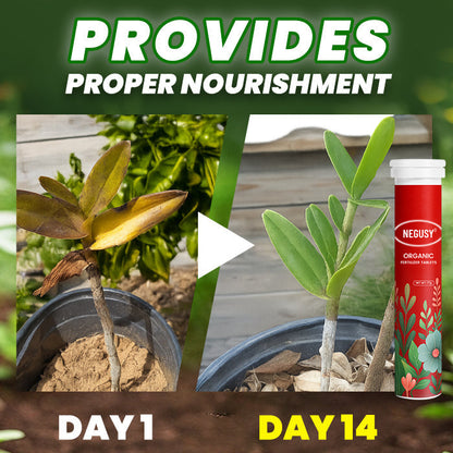 🌱All-in-One Nutrient Boost | NEGUSY® Organic Fertilizer Tablets- Slow Release Plant Food for 60 Days⭐️