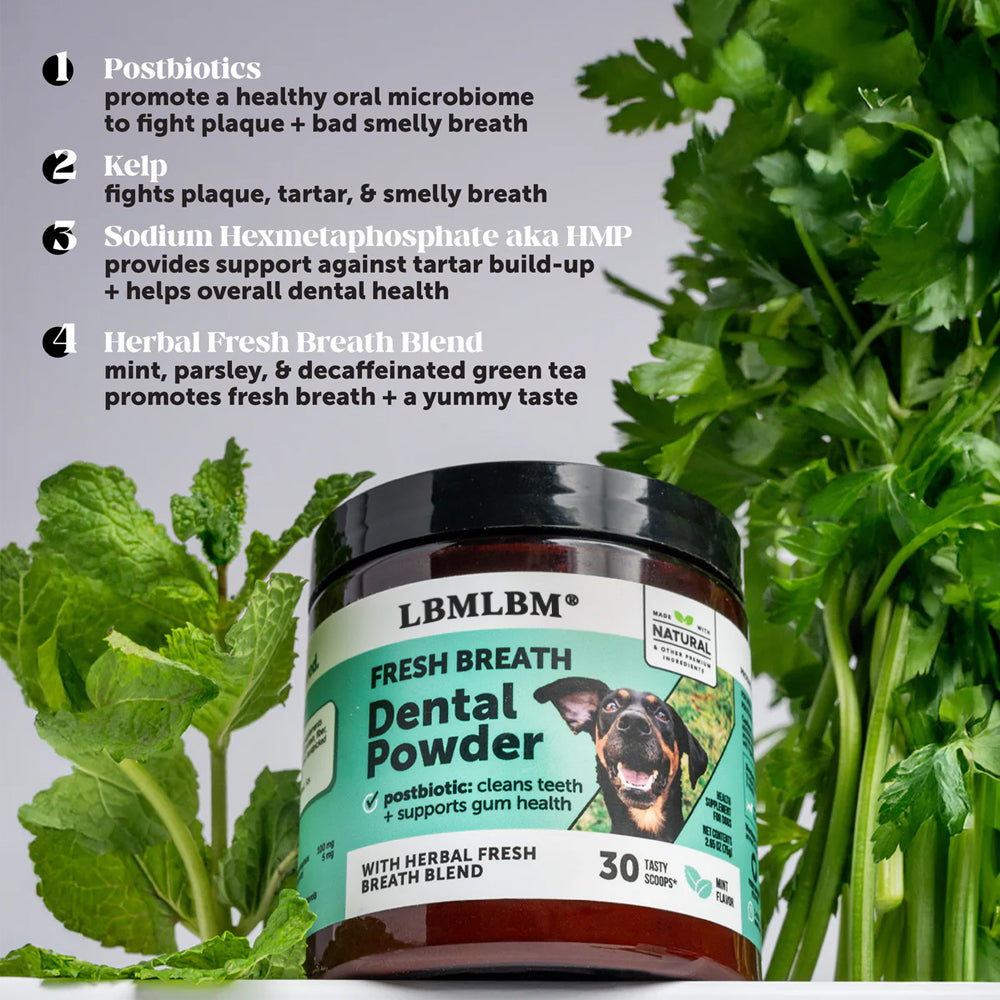 Fresh Breath Dental Powder for Dogs (30 servings)