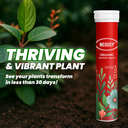 🌱All-in-One Nutrient Boost | NEGUSY® Organic Fertilizer Tablets- Slow Release Plant Food for 60 Days⭐️