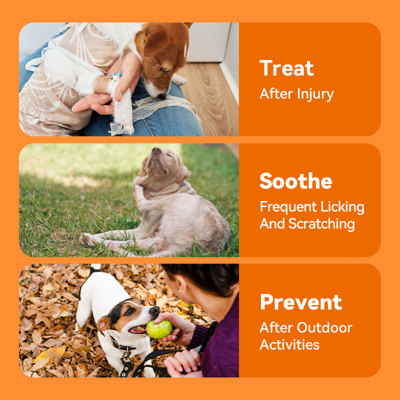 ODEIUN® Quantum Silver Pet Skin Spray for Dogs and Cats