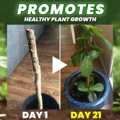 🌱All-in-One Nutrient Boost | NEGUSY® Organic Fertilizer Tablets- Slow Release Plant Food for 60 Days⭐️