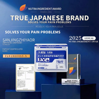 Targeted Pain Relief Patch –ODALIT™ Japanese Herbal Patch