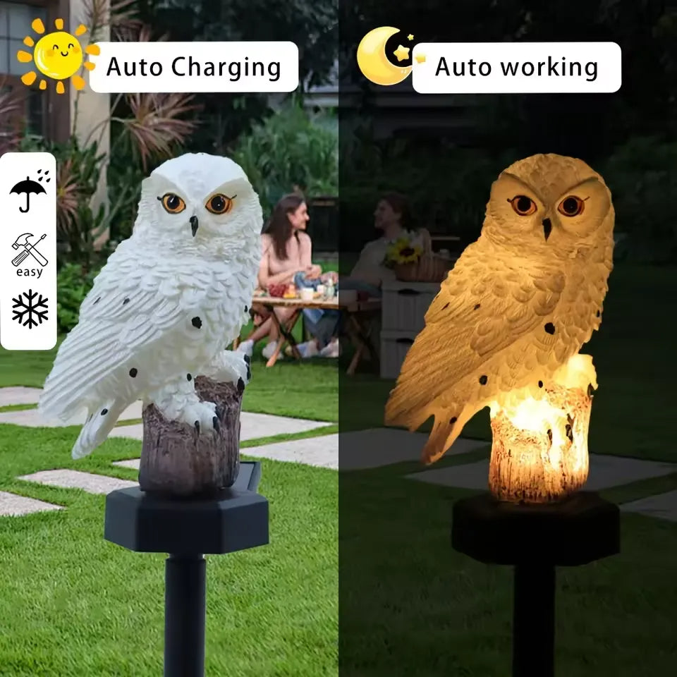 🦉 The Adorable Solar Owl That Lights Up Your Garden After Sunset